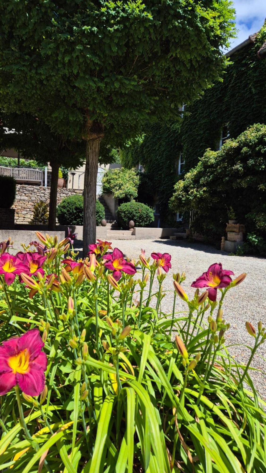 L'Annexe Du Moulin Renaudiots Διαμέρισμα Autun Εξωτερικό φωτογραφία